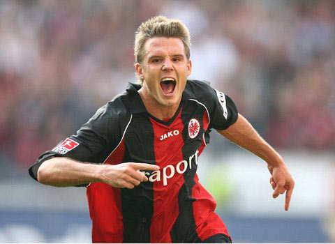 表现充满期 表现充满期